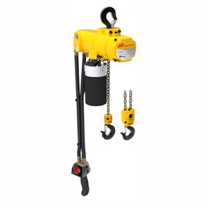 1/4 Ton Air Hoist, 10 Ft Lift